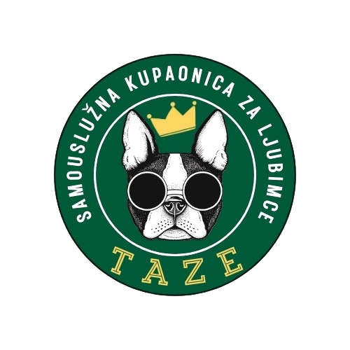 TAZE Logo
